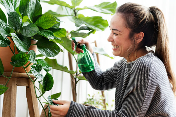 plant care tips with plant lover woman