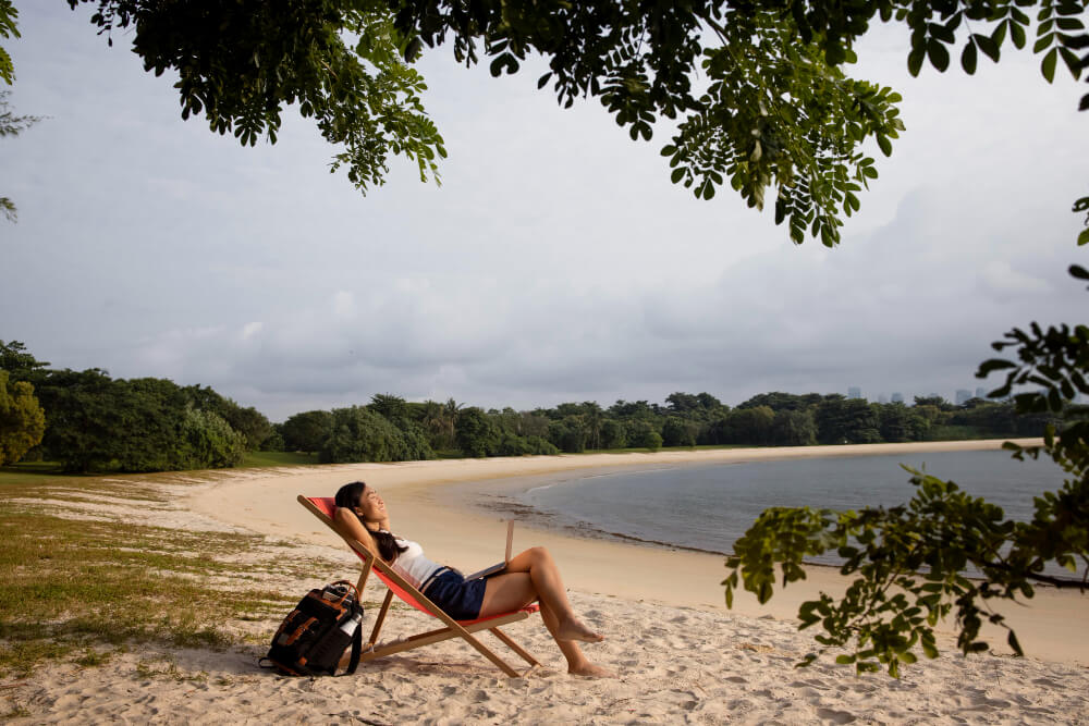 reading on the summer beach