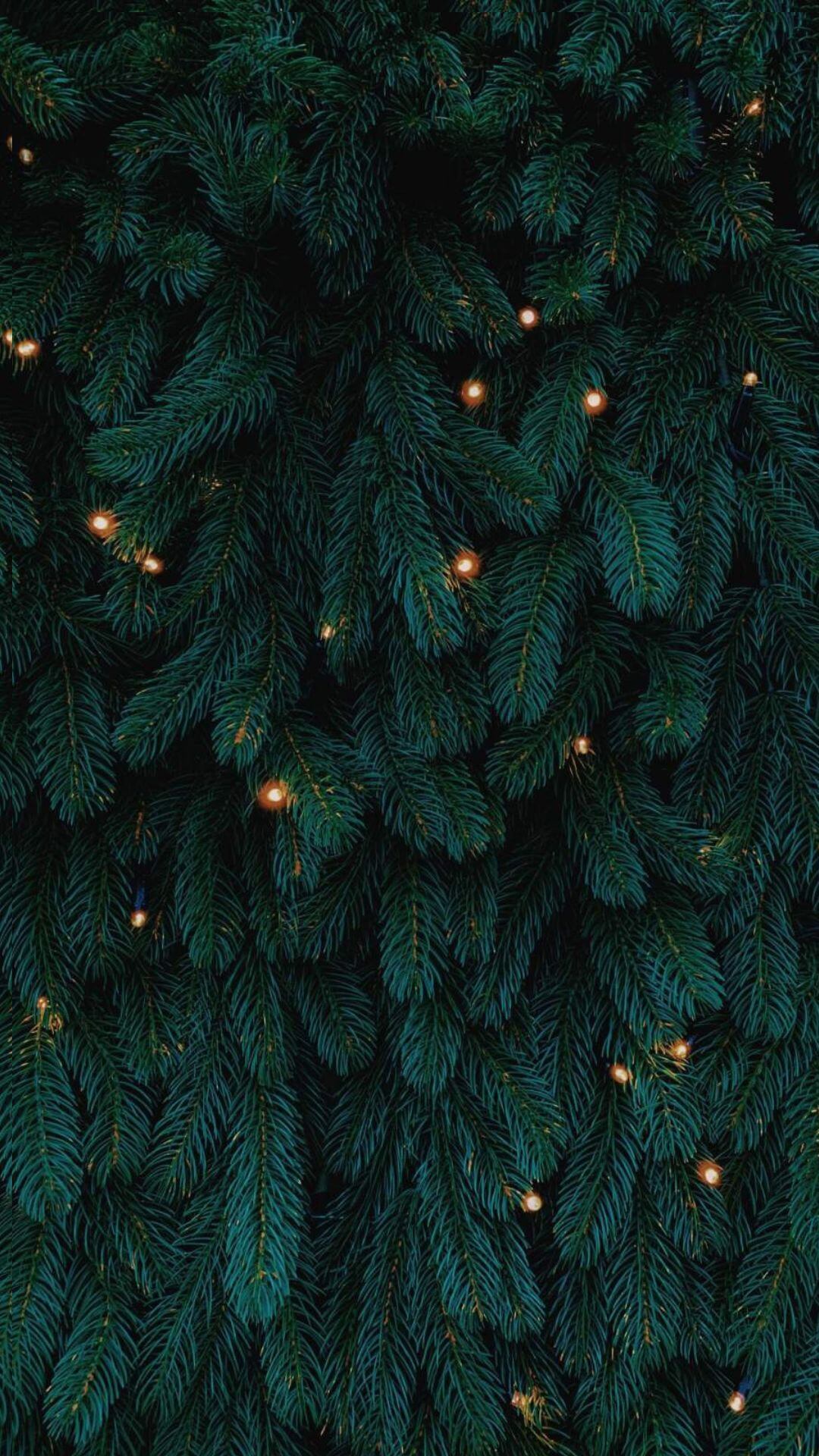 christmas tree background iphone