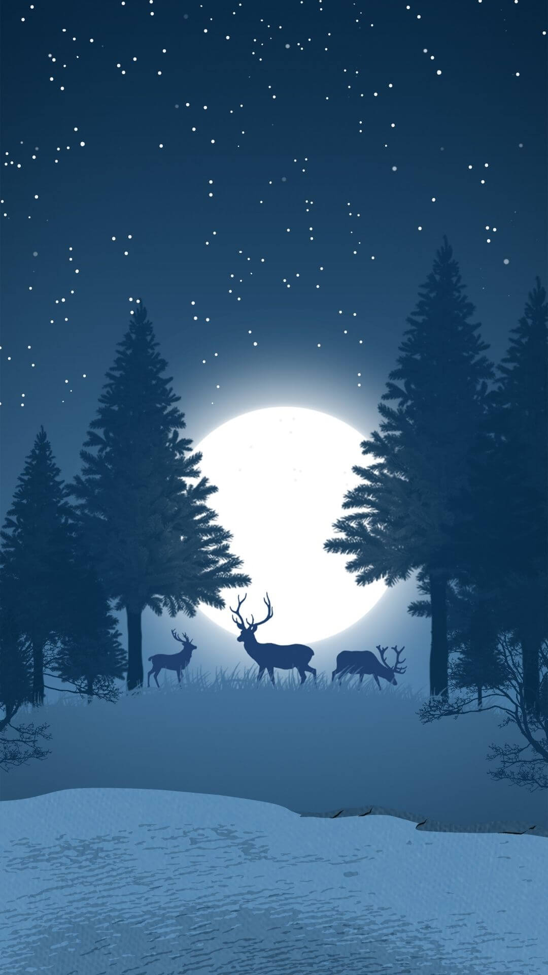 christmas wallpaper night forest