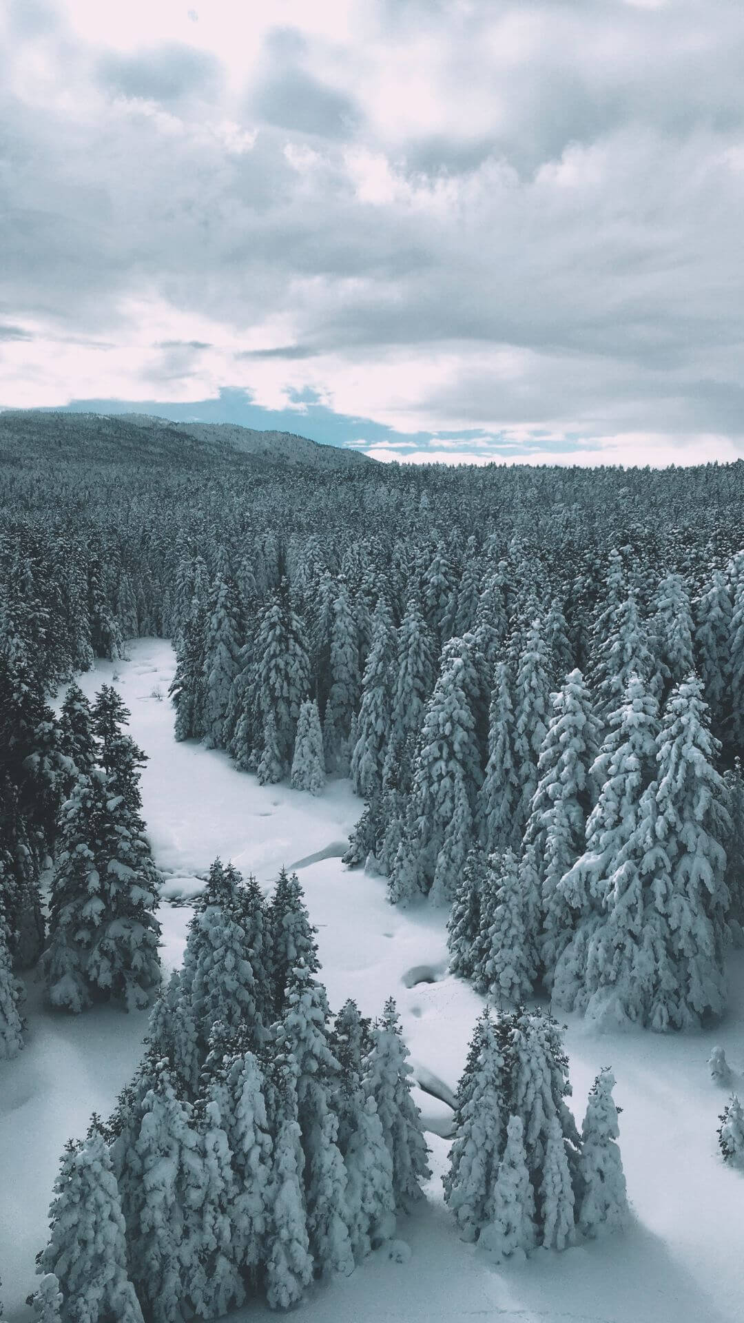 winter landscape with snow (1)