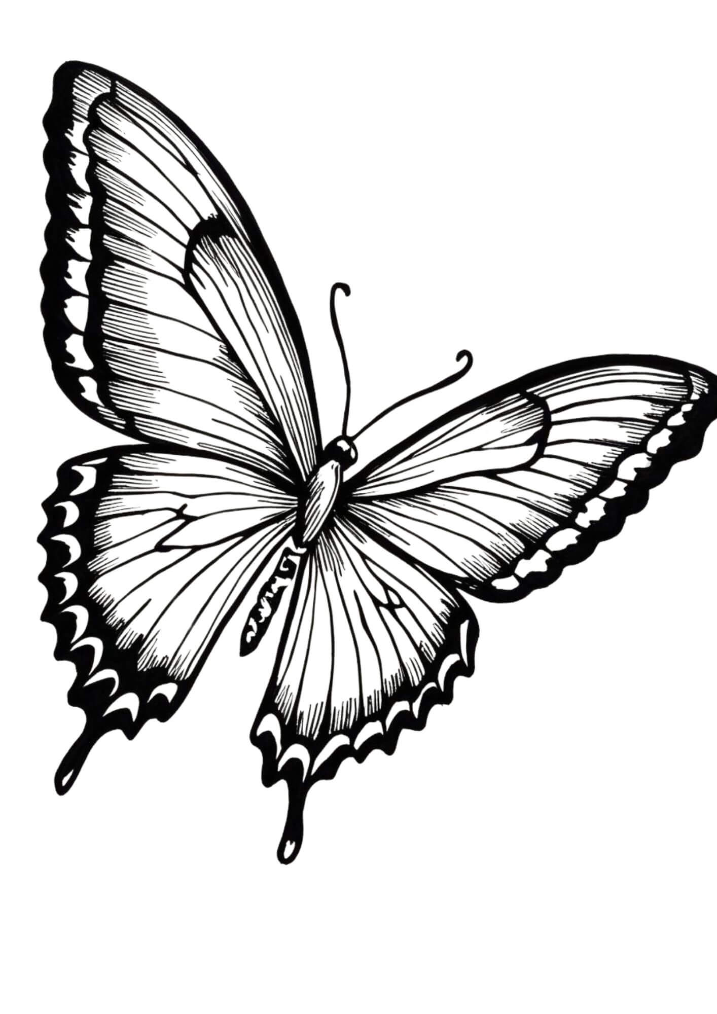 Beautiful Butterfly coloring page