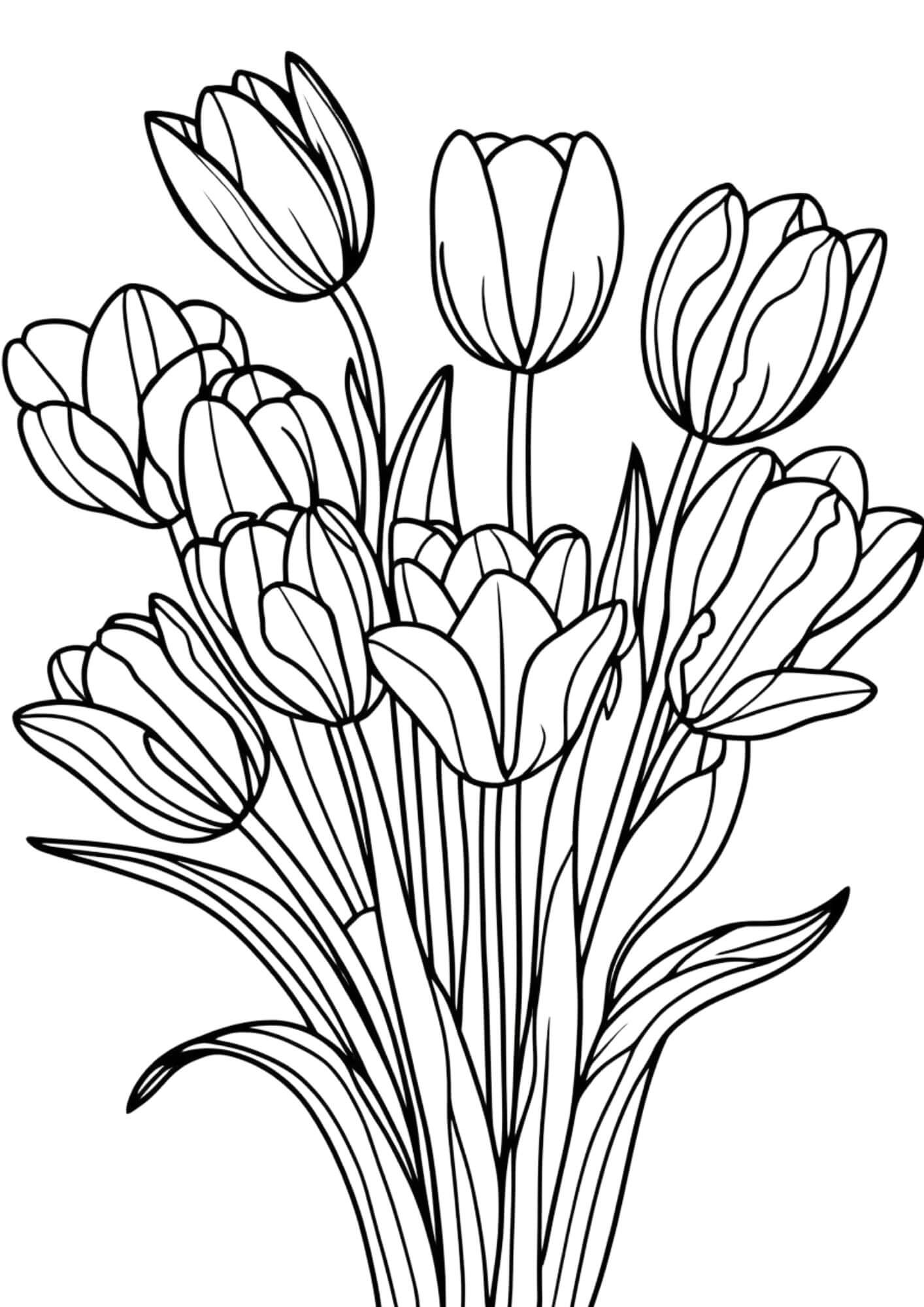 Blooming tulips coloring pages for girls