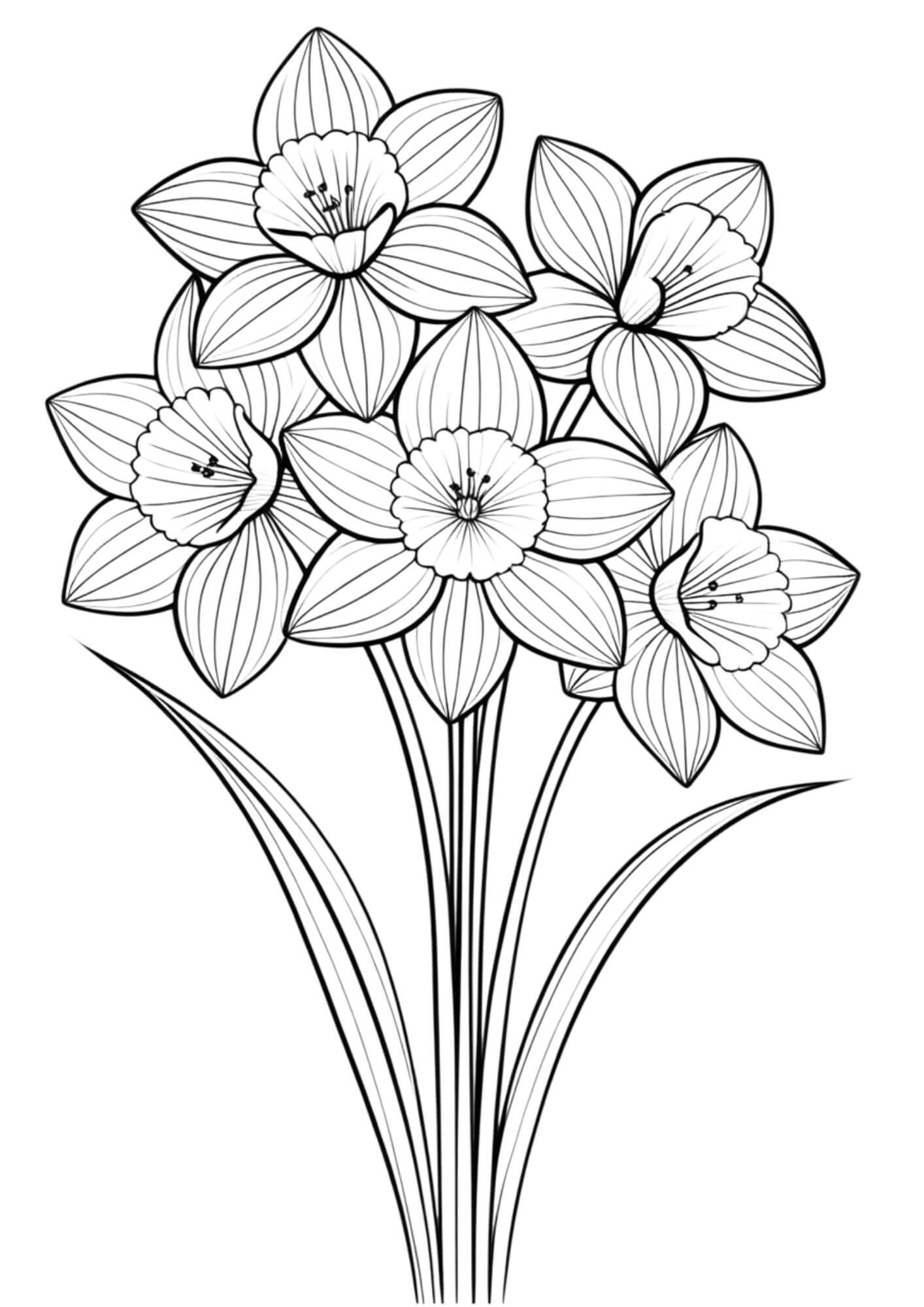 Daffodil Bouquet Coloring book page