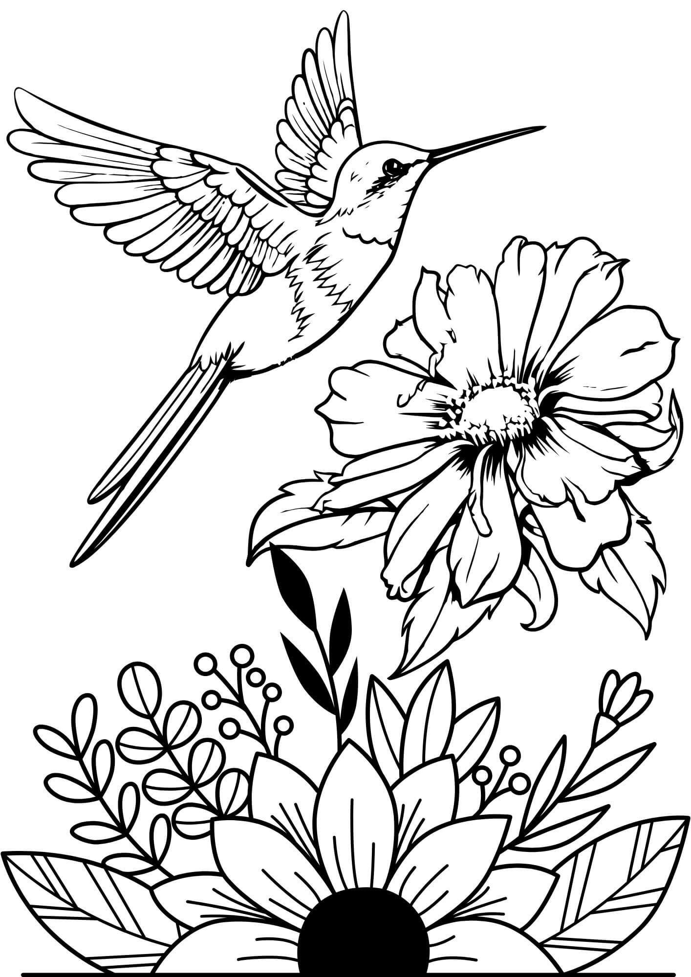 Hummingbird with flowers free coloring page